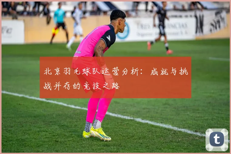北京羽毛球队运营分析：成就与挑战并存的竞技之路
