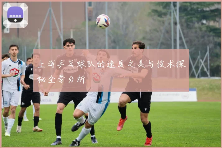 上海乒乓球队的速度之美与技术探秘全景分析