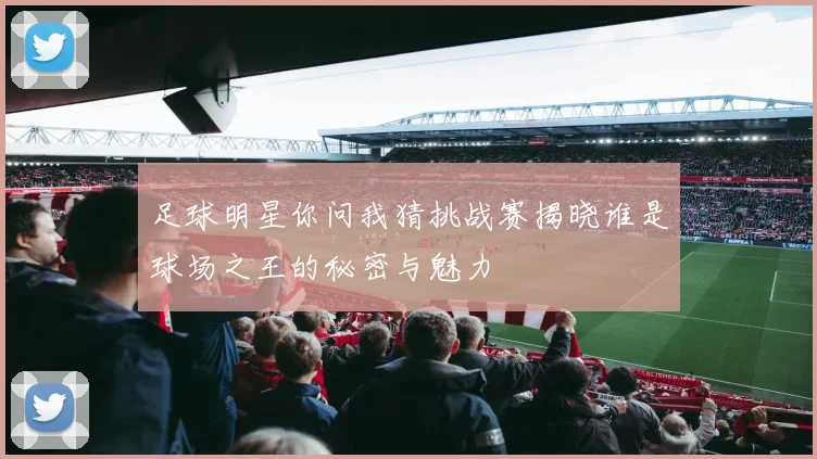 足球明星你问我猜挑战赛揭晓谁是球场之王的秘密与魅力