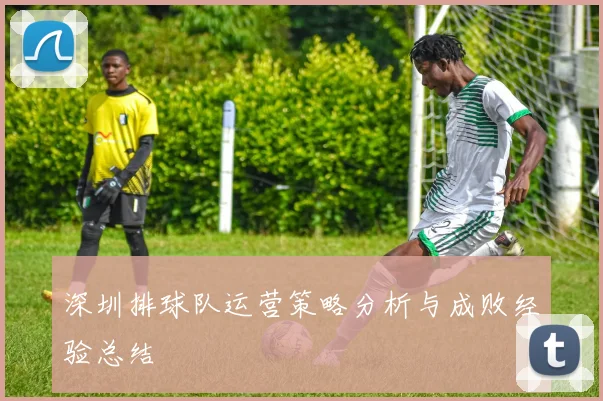 深圳排球队运营策略分析与成败经验总结