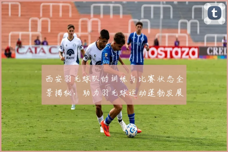 西安羽毛球队的训练与比赛状态全景揭秘，助力羽毛球运动蓬勃发展