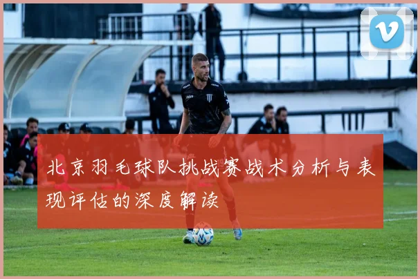 北京羽毛球队挑战赛战术分析与表现评估的深度解读