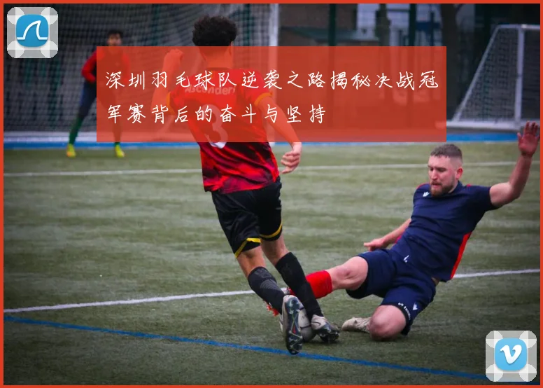 深圳羽毛球队逆袭之路揭秘决战冠军赛背后的奋斗与坚持