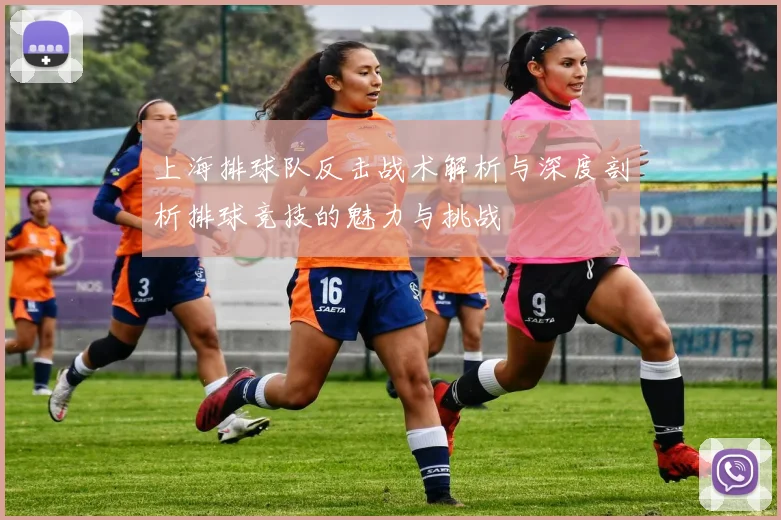 上海排球队反击战术解析与深度剖析排球竞技的魅力与挑战