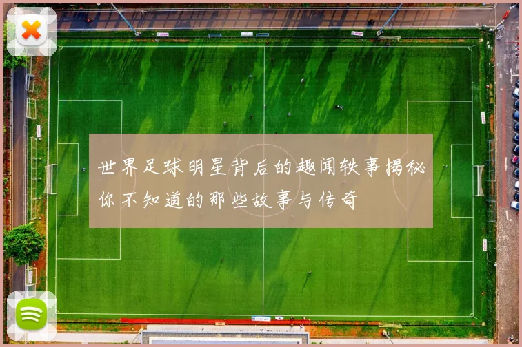 世界足球明星背后的趣闻轶事揭秘你不知道的那些故事与传奇