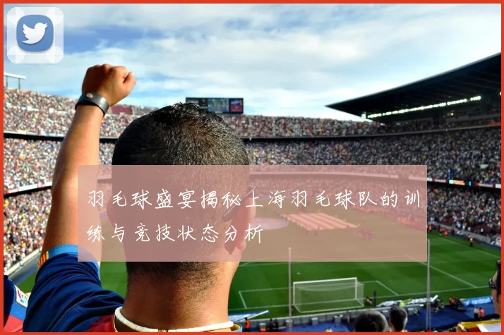 羽毛球盛宴揭秘上海羽毛球队的训练与竞技状态分析