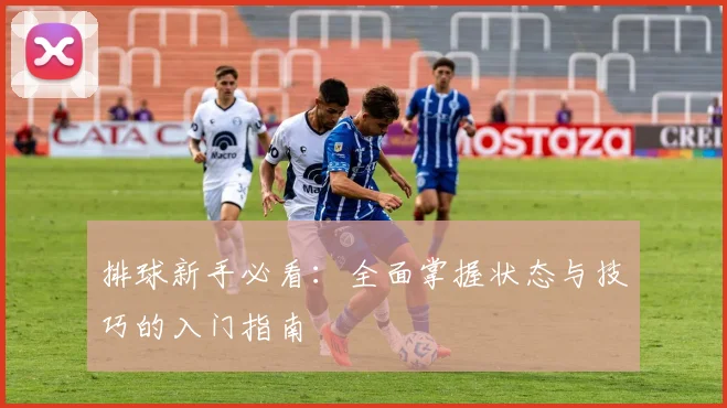 排球新手必看：全面掌握状态与技巧的入门指南